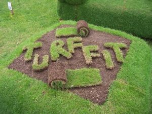 Lawn Care and Maintenance 