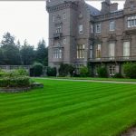 New lawn turf at Castle installed by Turffit