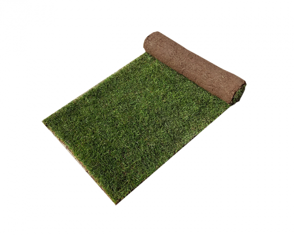 Standard Lawn Turf- perfect for gardens and amenity areas.