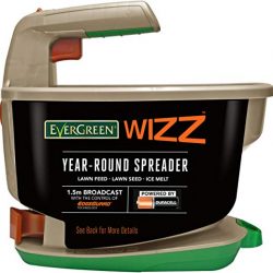 Evergreen Wizz